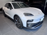 オプションサイドブレード(エクステリアカラー塗装)、GTS ロゴ付き(ブラック、サテン グロス)付