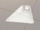 【スマートアシスト】走行中に前方の車両等を認識し、衝突しそうな時は警報とブレーキで衝突回避と被害軽減をアシスト。より安全にドライブをお楽しみいただけます。