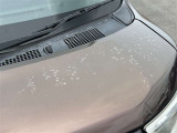 ボンネットに塗装劣化がございますので、現車でのご確認を宜しくお願いいたします。