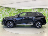 NX 300h Fスポーツ