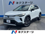 沖縄県内での販売・登録が条件※宮古島除く