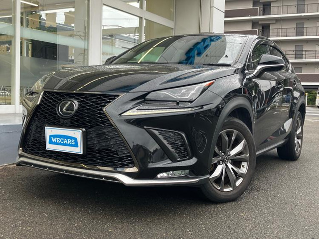 NX 300 Fスポーツ 