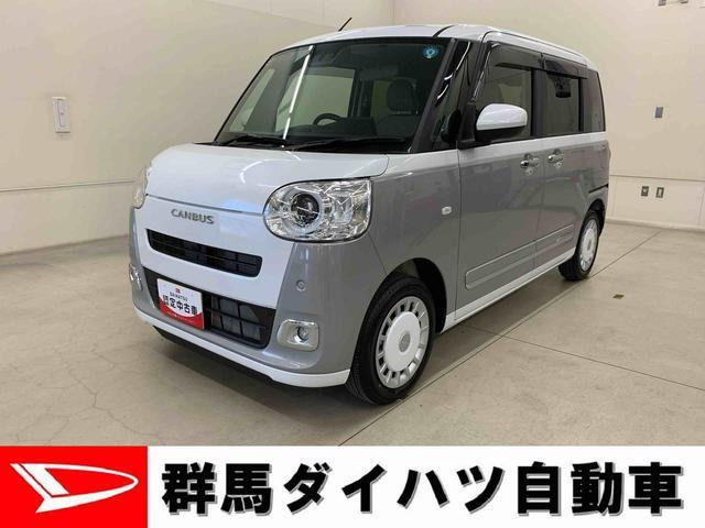 ムーヴキャンバス ストライプス G