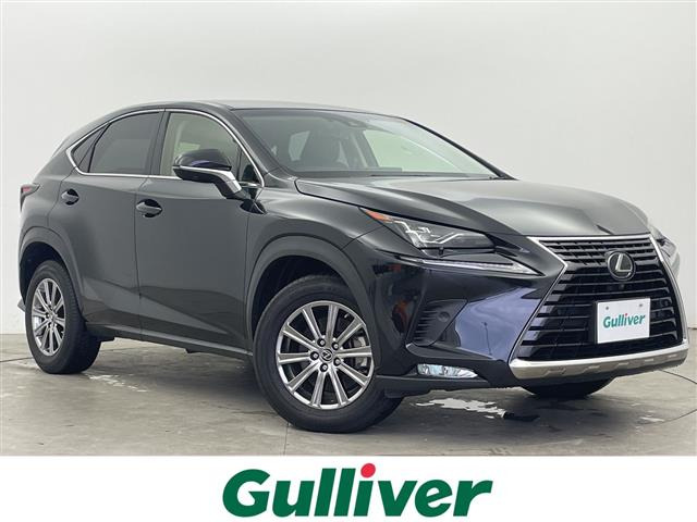 NX 300 Iパッケージ 4WD 修復歴無し