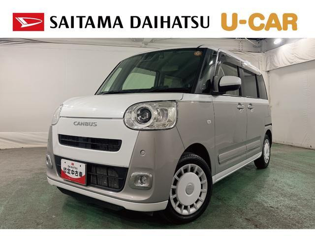 ムーヴキャンバス  ストライプス G