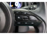 走りたいスピードでセットすれば一定速度で走行が出来るクルーズコントロール付き!高速道路でのドライブが快適になりますね♪
