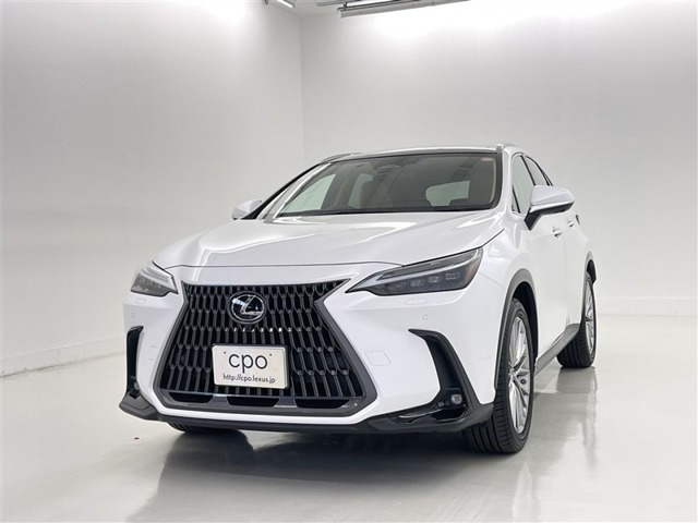 NX 250 バージョンL NX 250 バージョンL