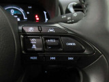 高速道路での運転をアシストするクルーズコントロール付。