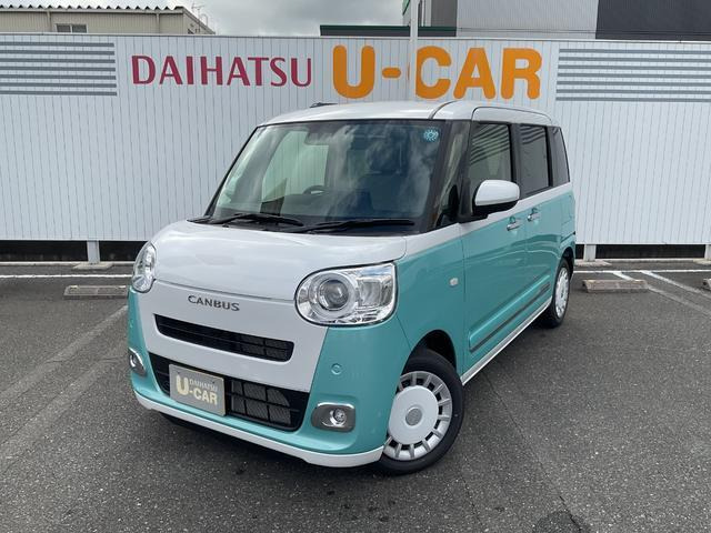ムーヴキャンバス  ストライプス G