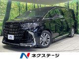 4WD モデリスタエアロ ガラスルーフ 両側電動ドア 純正14型ナビ