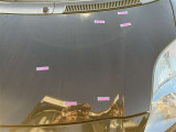 フード 飛び石キズ