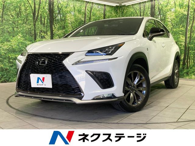 NX 300 Fスポーツ 