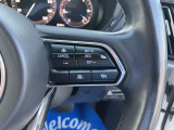 登録した速度に保ち走行するレーダークルーズコントロール付き。高速やバイパスでの運転支援に役立つ便利アイテムです!