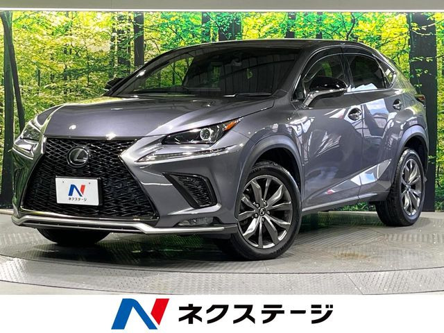 NX 300 Fスポーツ 