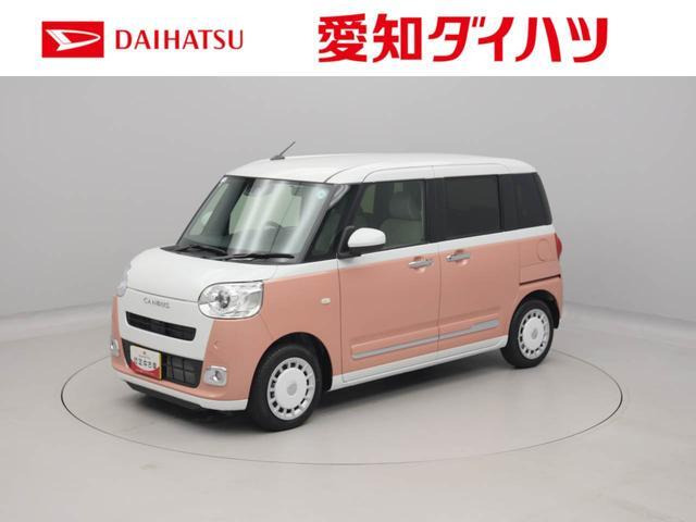 ムーヴキャンバス  ストライプス G