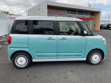 ムーヴキャンバス  ストライプス G