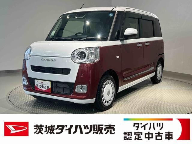 ムーヴキャンバス  ストライプス G