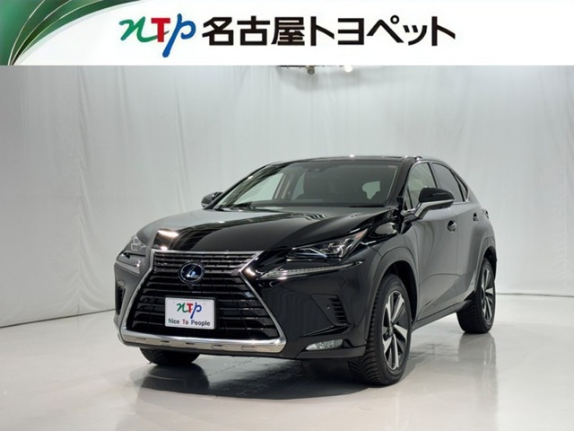 NX 300h Iパッケージ