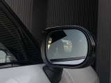 ブラインドスポット付きなので、安心の車線変更ができます。
