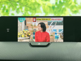 停車中にテレビ番組を視聴でき、待ち時間も車内で過ごしやすくなります。画面上で番組の内容を確認できるため、休憩時などに気軽に映像を楽しめる装備です。