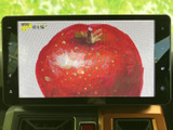停車中にテレビ番組などの映像を楽しめる画面を装備。見やすい大きさで表示され、休憩時間の気分転換にも活用できます。お出かけ先での待ち時間にも便利です。