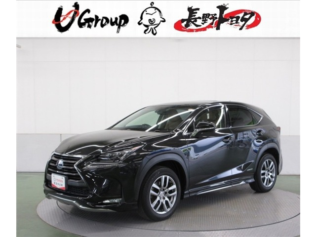 NX 300h Iパッケージ