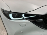 LEDヘッドライトは、点灯の瞬間から最大光量を発揮し、突然暗くなるトンネルなどでの安定感を高めます。