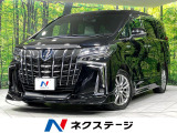 フルエアロ 純正9型ナビ 後席モニター 全周囲カメラ JBLサウンド