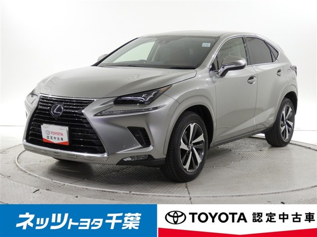 NX 300h Iパッケージ