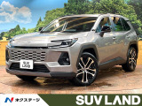 禁煙車 サンルーフ 12型ディスプレイ 全周囲カメラ BSM