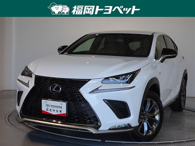 NX 300h Fスポーツ 