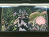 テレビ映像を表示できる画面を備え、停車中に映像やテレビ番組を視聴したい場面で活用できます。画面で映像を楽しめるため、休憩時間の過ごし方にも幅が広がります。