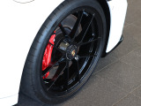 20/21 インチ Carrera GTS ホイール