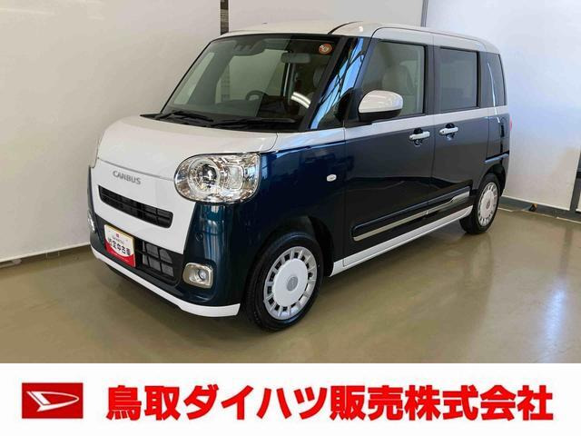 ムーヴキャンバス  ストライプス G