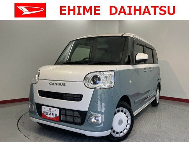 ムーヴキャンバス  ストライプス G