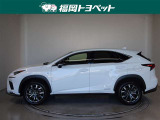 NX 300h Fスポーツ 