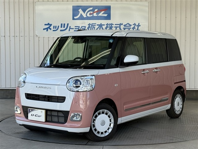 ムーヴキャンバス  ストライプス G