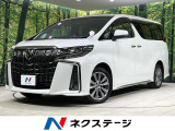 4WD 両側電動ドア 後席モニター バックカメラ 寒冷地仕様