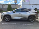 NX 250 バージョンL 4WD 