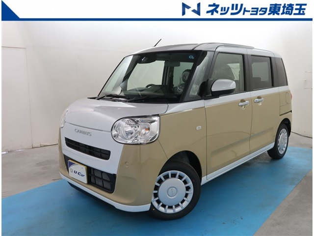 ムーヴキャンバス  ストライプス X