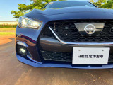 フォグランプはより明るく照らすので、安全走行できます。