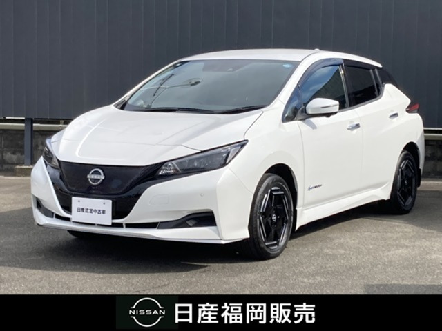 リーフ e+ X 