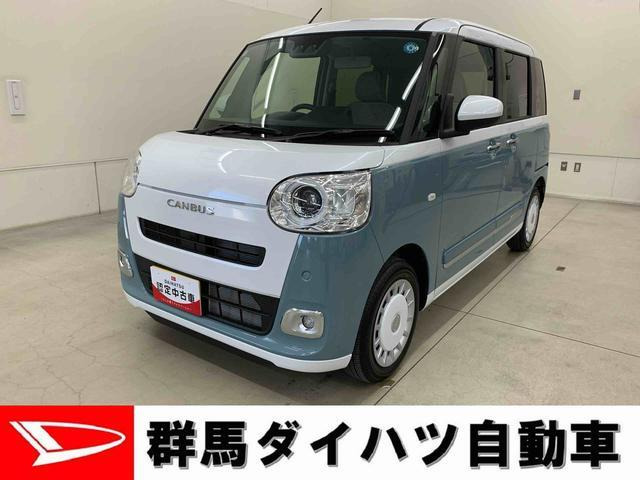 ムーヴキャンバス ストライプス G