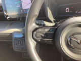 【ステアリングスイッチ】
