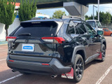RAV4 2.0 アドベンチャー オフロードパッケージ II 4WD 