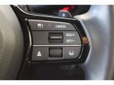 安全運転支援システムHonda SENSINGを搭載。衝突軽減ブレーキや、前後の誤発進抑制機能、アダプティブクルーズコントロール、車線維持など複数の先進技術で安心・快適なドライブをサポートします。