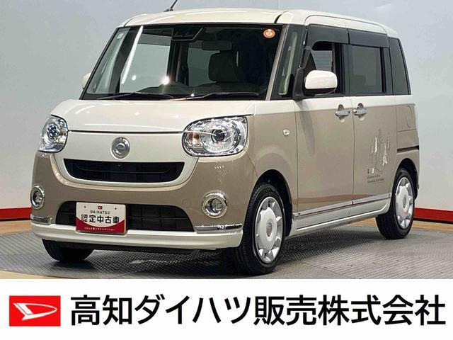ムーヴキャンバス G メイクアップ リミテッド SAIII
