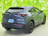 CX-30 2.0 20S ブラックトーンエディション 