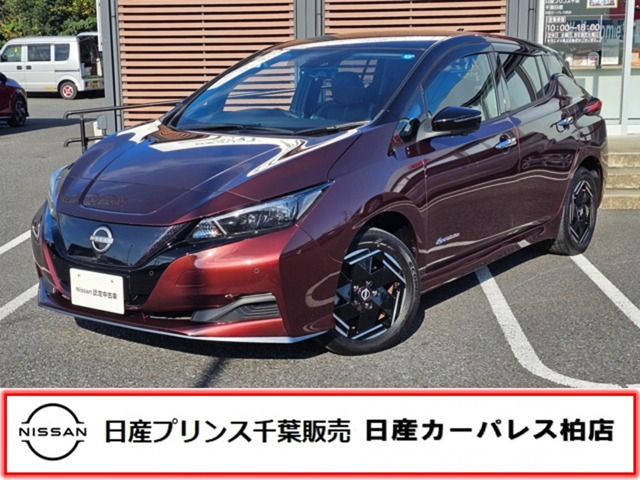 リーフ e+ X 