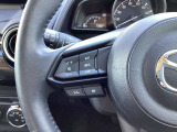 ステアリング左にはオーディオ系システムがまとまっており、運転中の快適性をサポートしてくれます。